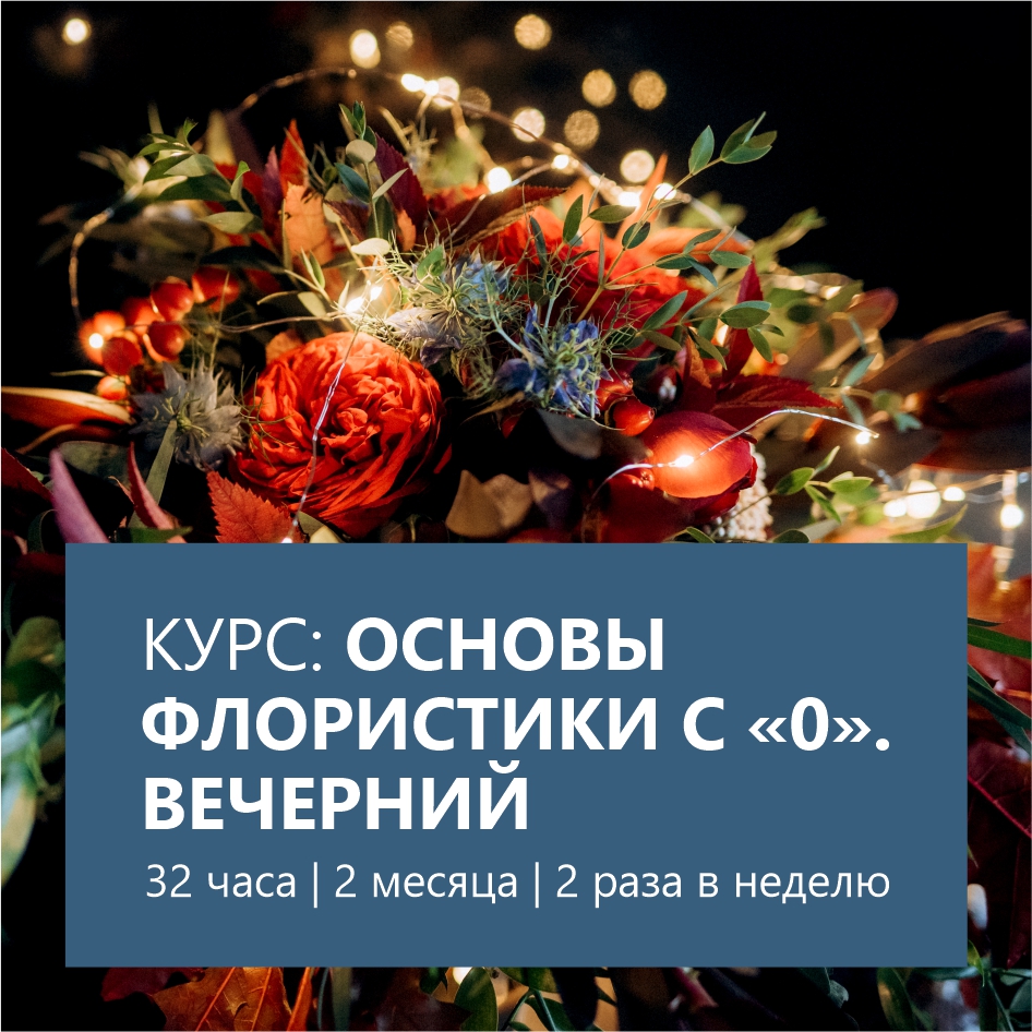 Основы флористики — вечерний курс полный