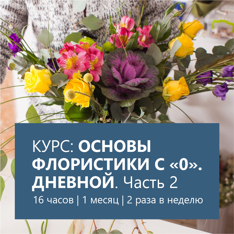 Основы флористики — дневной Часть 2