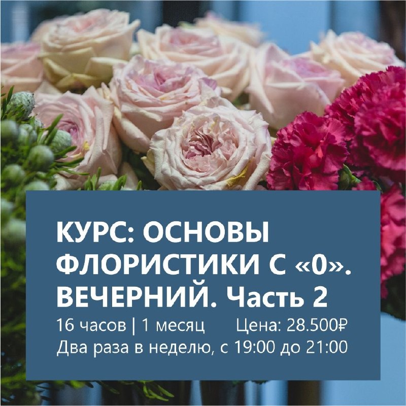 Курс Основы Флористики